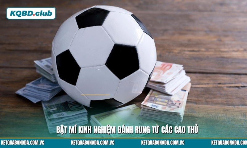 Bật mí kinh nghiệm đánh rung từ các cao thủ