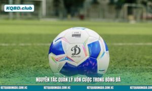 Quản lý vốn cược là gì? “Mách” bạn cách kiểm soát ngân sách hiệu quả